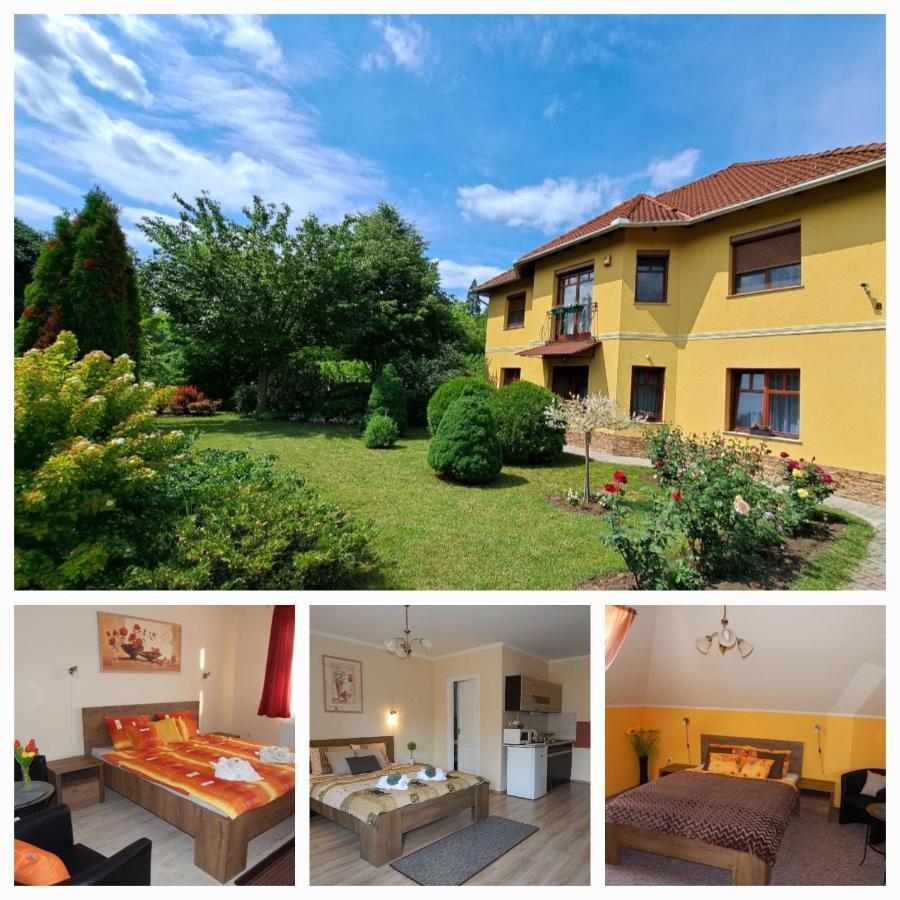 Völgy Apartman *